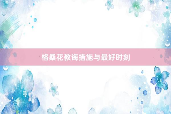 格桑花教诲措施与最好时刻