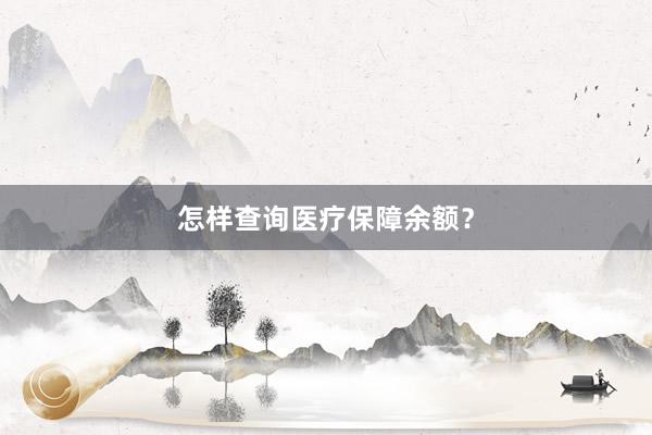 怎样查询医疗保障余额？